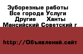 Зуборезные работы - Все города Услуги » Другие   . Ханты-Мансийский,Советский г.